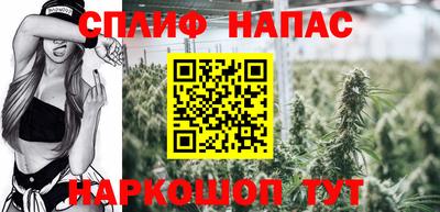 бошки Дубна