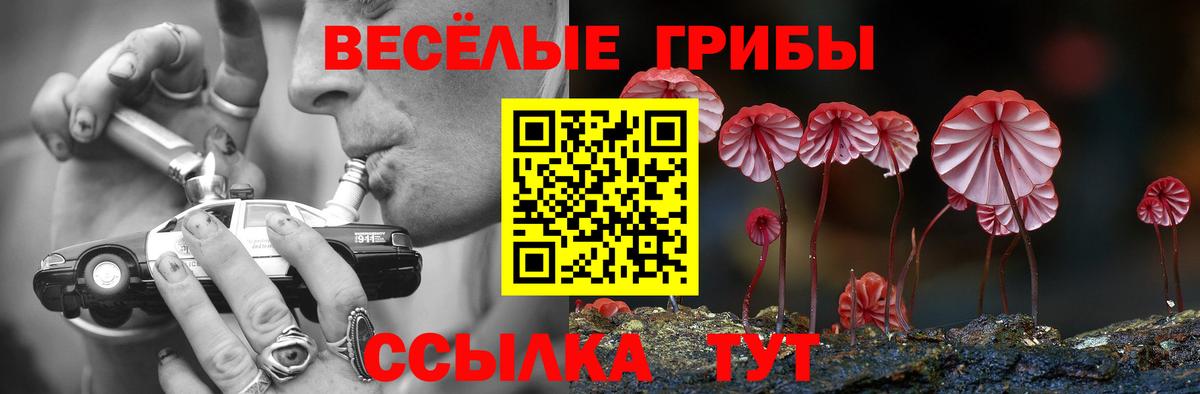Лянтор  цены   Вход с VPN  Псилоцибиновые грибы ЛСД 